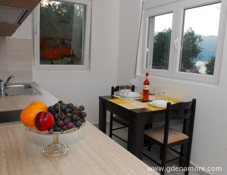 Jednosoban apartman sa terasom (kuhinja)